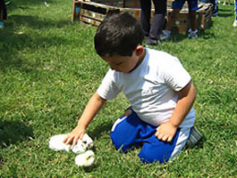 nino-con-conejito_granja_heidy